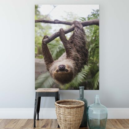 Animals and Living (11858CV) - Image 2