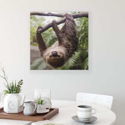 Animals and Living (11858CV) - Image 3