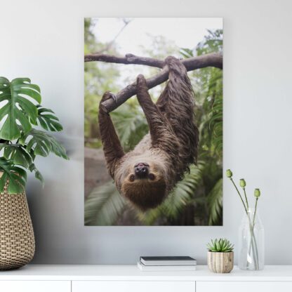 Animals and Living (11858CV) - Image 4