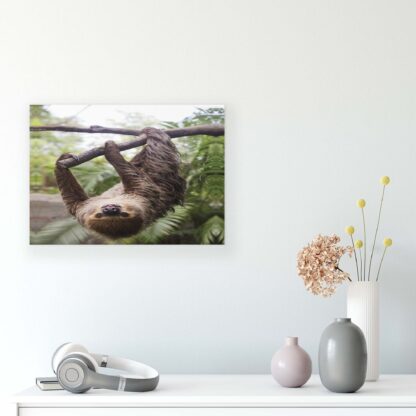 Animals and Living (11858CV) - Image 7