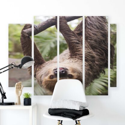 Animals and Living (11858CV) - Image 8