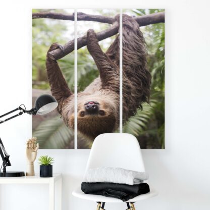 Animals and Living (11858CV) - Image 9