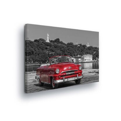 Cars and Transport (11859CV)