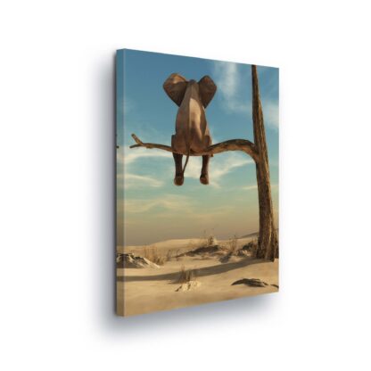 Animals and Living (11898CV)