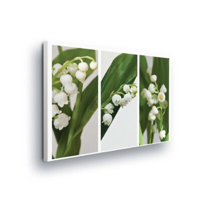 Flowers (11908CV)