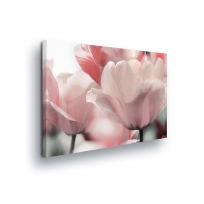 Flowers (11911CV)