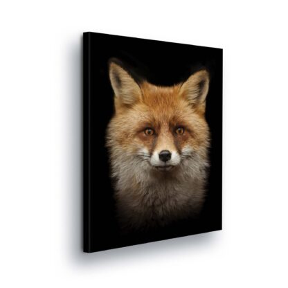 Animals and Living (11912CV)