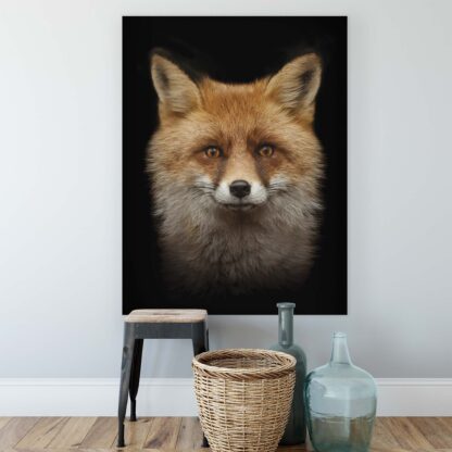 Animals and Living (11912CV) - Image 2