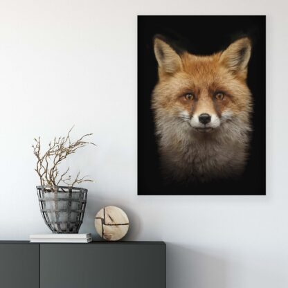 Animals and Living (11912CV) - Image 6
