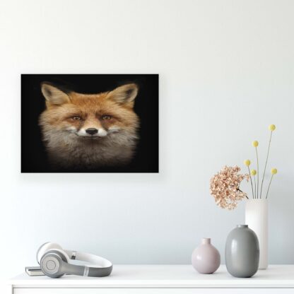 Animals and Living (11912CV) - Image 7