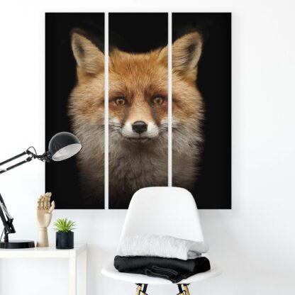 Animals and Living (11912CV) - Image 8