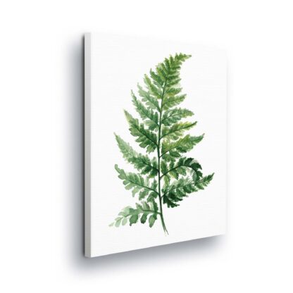 Plants (11940CV)