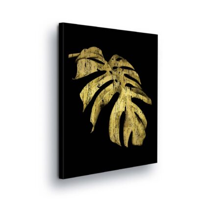Plants (11959CV)