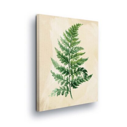 Plants (11961CV)