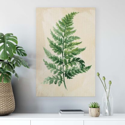 Plants (11961CV) - Image 3