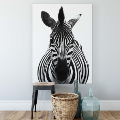 Animals and Living (11966CV) - Image 2