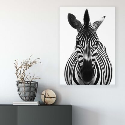 Animals and Living (11966CV) - Image 4