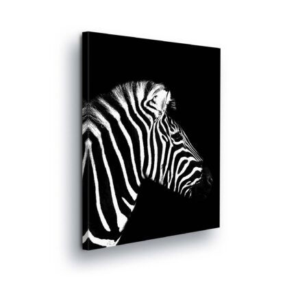 Animals and Living (11967CV)