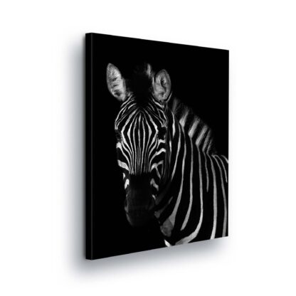 Animals and Living (11968CV)