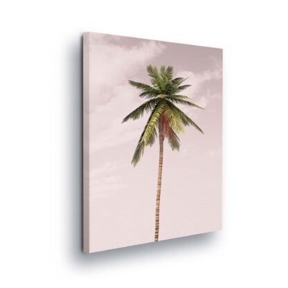 Tropical (11970CV)