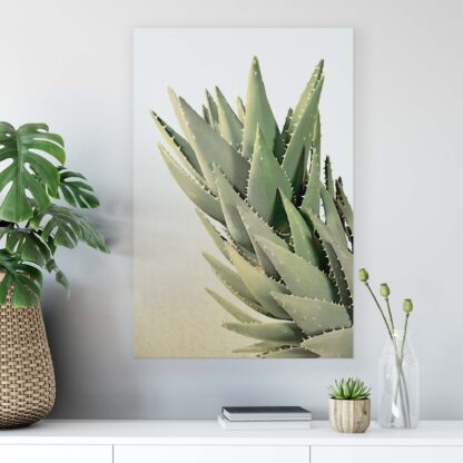 Tropical (11971CV) - Image 3