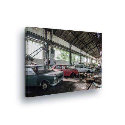 Cars and Transport (11990CV)