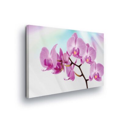 Flowers (124CV)