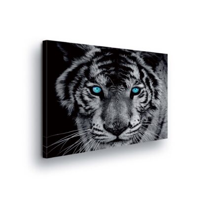 Animals and Living (130ACV)