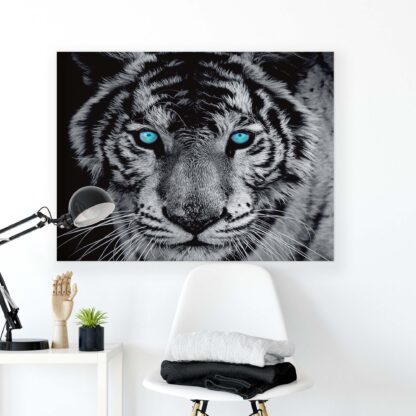 Animals and Living (130ACV) - Image 2