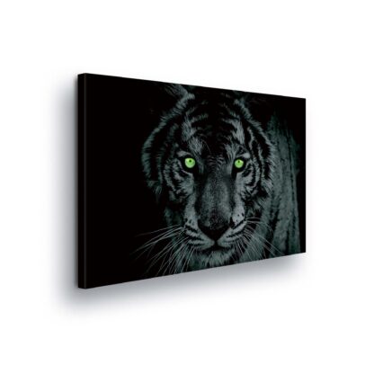 Animals and Living (130BCV)