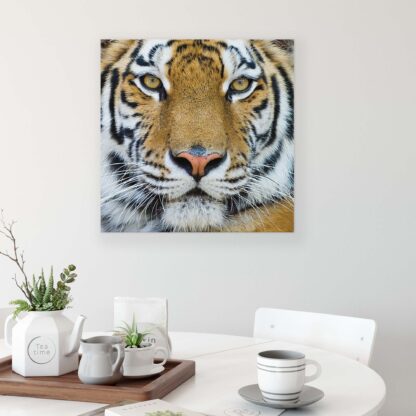 Animals and Living (1363CV) - Image 3