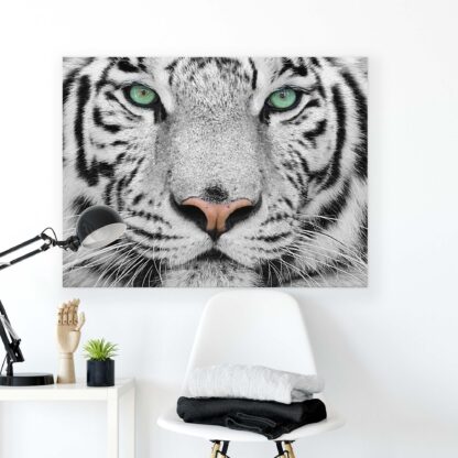 Animals and Living (1364CV) - Image 2