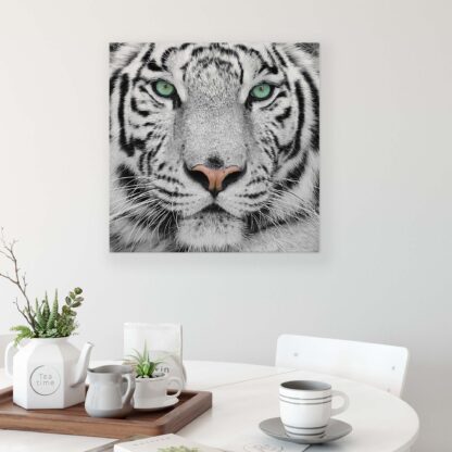 Animals and Living (1364CV) - Image 3