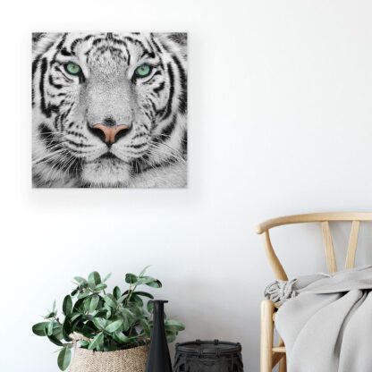 Animals and Living (1364CV) - Image 4