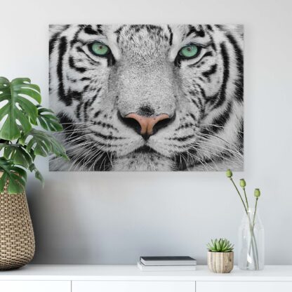 Animals and Living (1364CV) - Image 5