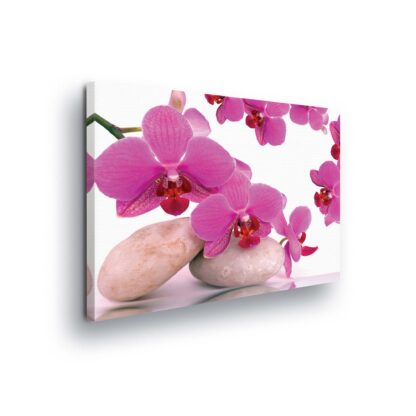 Flowers (136CV)