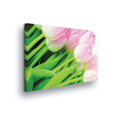 Flowers (149CV)