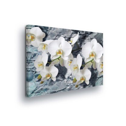 Modern Flowers, Nature, and Swirls (1505CV)
