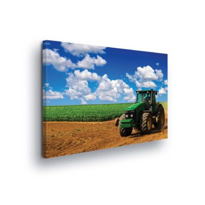 Meadows and Countryside (1515CV)