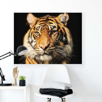Animals and Living (1519CV) - Image 2