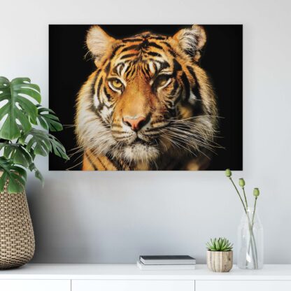 Animals and Living (1519CV) - Image 4