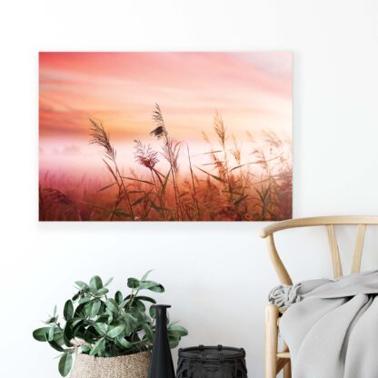 Meadows and Countryside (1525CV) - Image 3