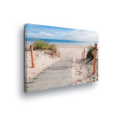 Beach and Coastal (1529CV)