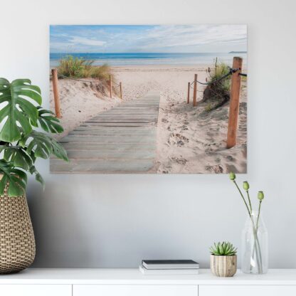 Beach and Coastal (1529CV) - Image 4