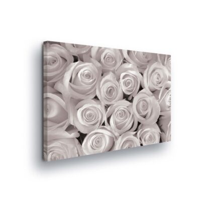 Flowers (1566CV)