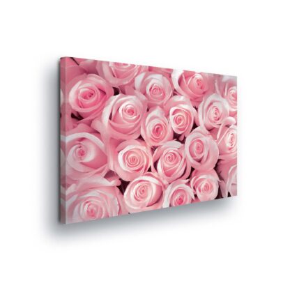 Flowers (1567CV)