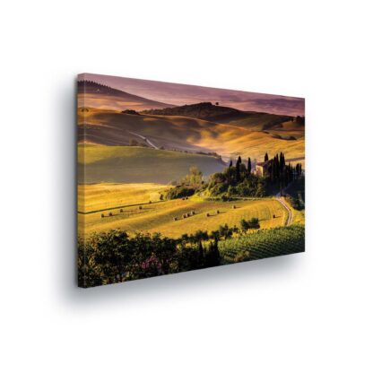Meadows and Countryside (157CV)