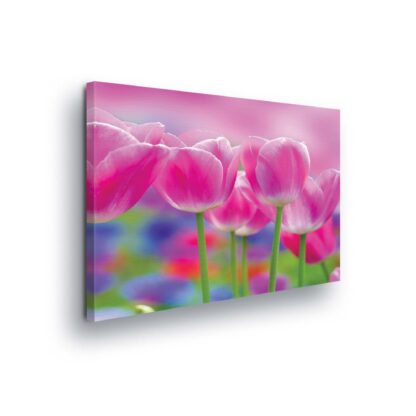 Flowers (164CV)