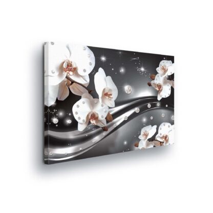 Modern Flowers, Nature, and Swirls (1651CV)