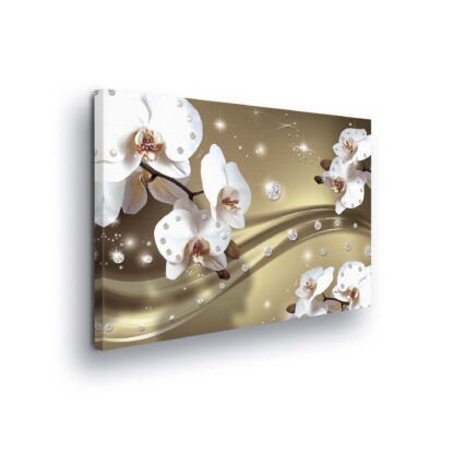 Modern Flowers, Nature, and Swirls (1652CV)